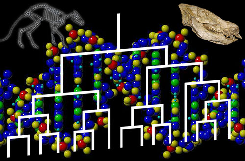 Pioneering Paleogenetics